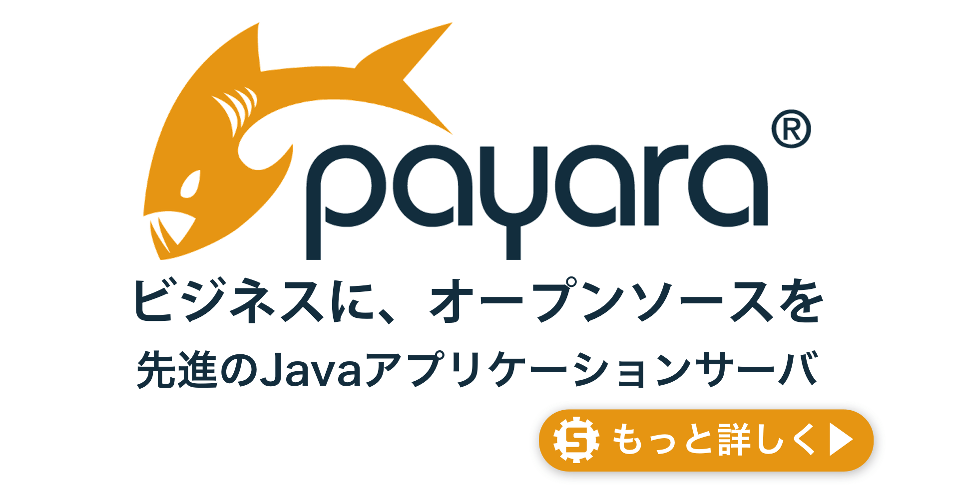 Payara Services Ltd社とパートナー契約を締結いたしました